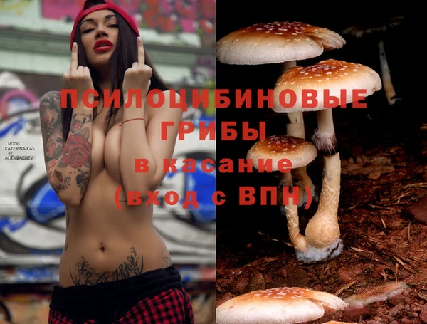 spice Армянск