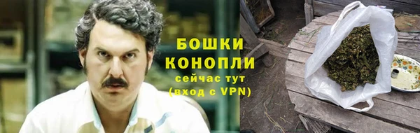 сатива Аркадак