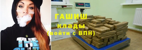 сатива Аркадак