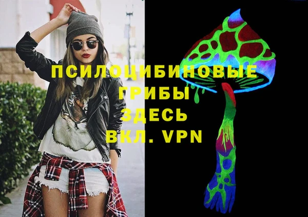 spice Армянск