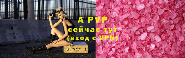 сатива Аркадак