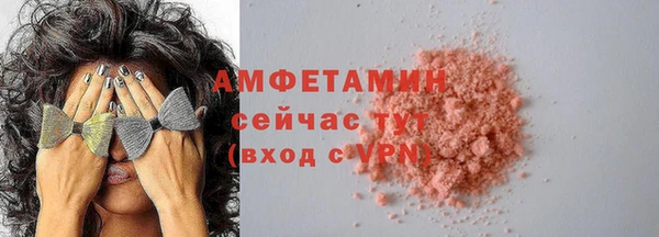сатива Аркадак